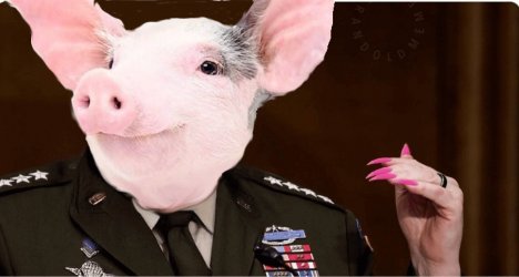 milley pig.jpg