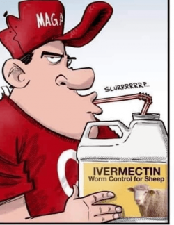 ivermectin.PNG