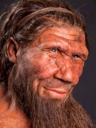 image_1734-Neanderthal-DNA.jpg