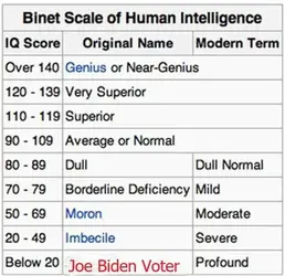 Binet-Simon_scale.webp