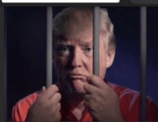 trump in jail.png