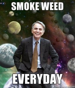 $SMOKE-WEED-EVERYDAY.jpg