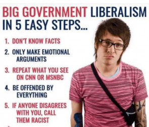 5 Steps to Liberalism.png