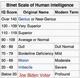 Binet-Simon_scale.jpg