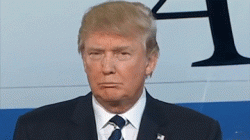 Donald-Trump-Faces.gif