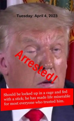 arrested dopey don arrested.jpg
