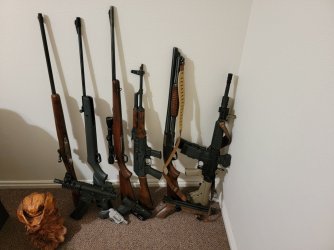 AR and other guns 4-15-23.jpeg