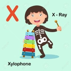 61974059-illustration-isolated-alphabet-letter-x-x-ray-xylophone-vector.jpg
