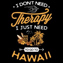 i-dont-need-therapy-go-to-hawaii-funny-travel-gif-mens-t-shirt.jpg