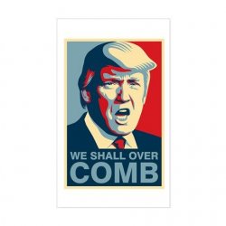 we_shall_overcomb_funny_trump_decal.jpg