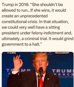 Trump's own words on criminals in WH and constitutional issues.jpg